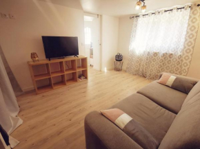 T1 bis, jardin, proche du centre Seyssinet-Pariset